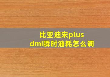 比亚迪宋plus dmi瞬时油耗怎么调